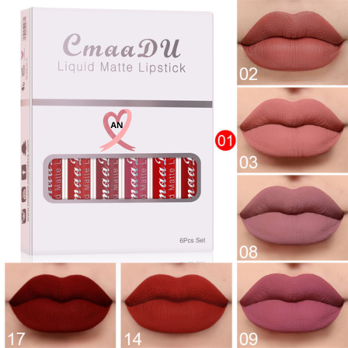6 boîtes de rouge à lèvres mat antiadhésif