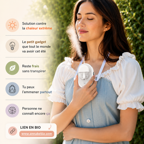 Ventilateur Brumisateur Tout-en-Un